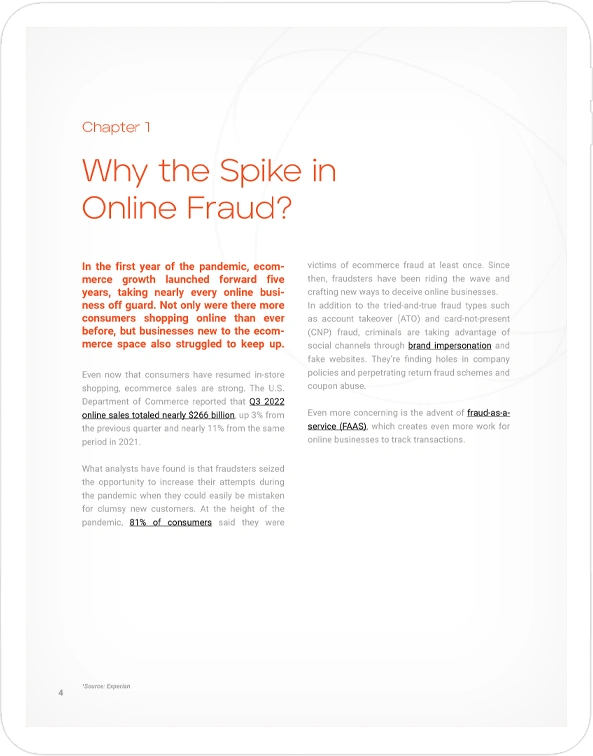 pages-fraud-managed-services-3